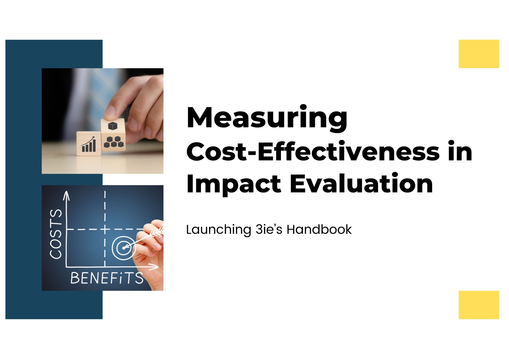 Launch of cost effectiveness handbook