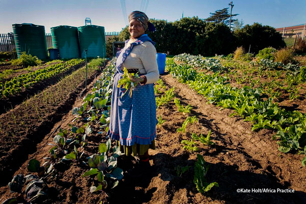 Up-to-date information for food systems transformation: 3ie's living Evidence Gap Map