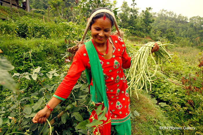 3ie's living Food Systems Evidence and Gap Map: Slow progress on evidence gaps, but little high-quality synthesis