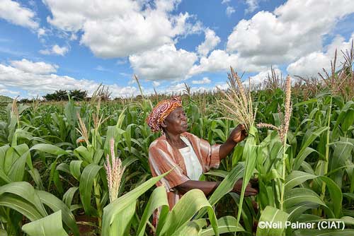 agriculture certification