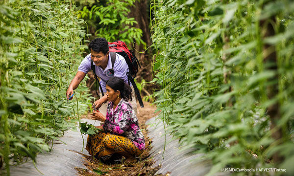 Mapping evidence to strengthen impact on resilience and food security